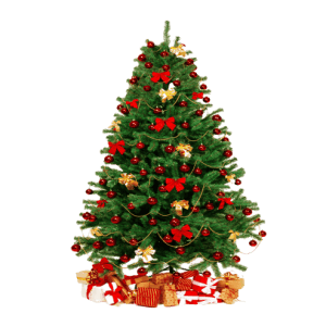 Christmas Tree (Small)