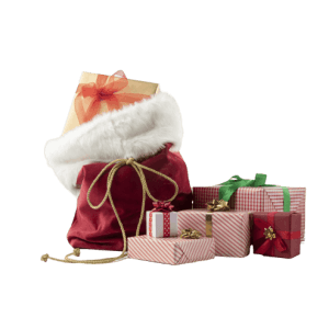 Christmas Pet Box