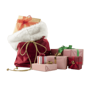 Christmas Pet Box