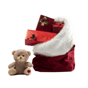 Christmas Pet Box